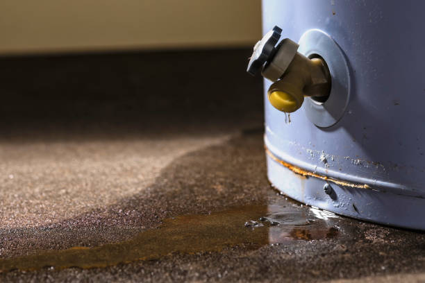 Best Flood restoration services  in Bells, TN
