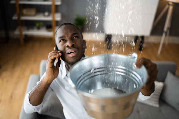 Best Sewage cleanup and water damage restoration  in Bells, TN