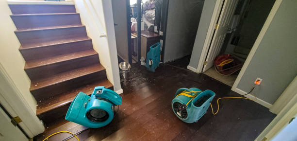  Bells, TN Water damage restoration Pros