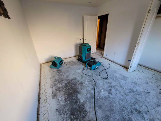 Best Carpet water damage restoration  in Bells, TN