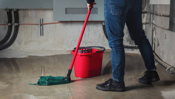 Best 24/7 water damage repair  in Bells, TN