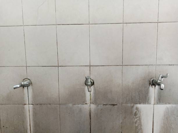 Best Water damage contractors near me  in Bells, TN