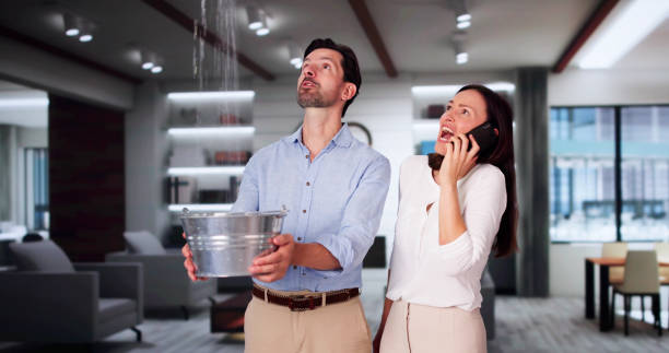 Sewage cleanup and water damage restoration in Bells, TN